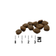 MAC's Dog Mono Soft - Frische Ente - Полувлажный корм для собак с уткой