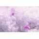 Kassipesu "Elegant Cat Silica Gel Lavender"